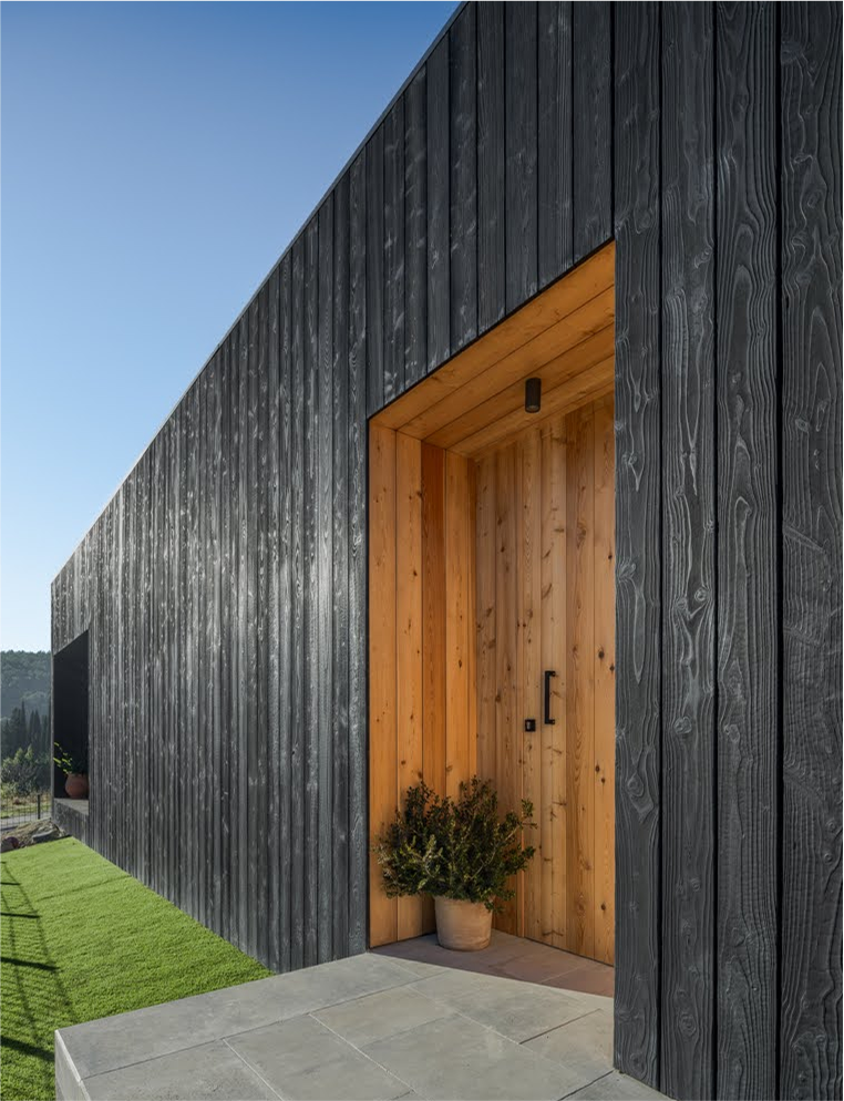 Zenwood Ebony proyecto 10