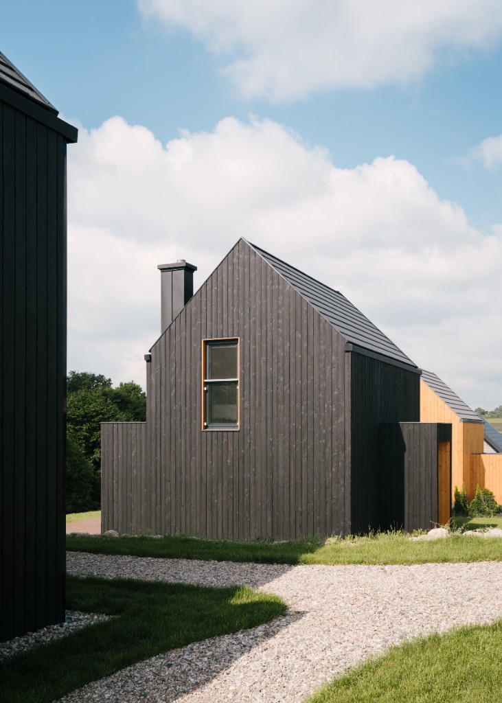 Zenwood Ebony proyecto 7